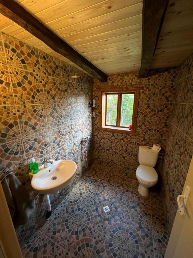 Balkan Mountains Villa Spa 埃伦娜 外观 照片