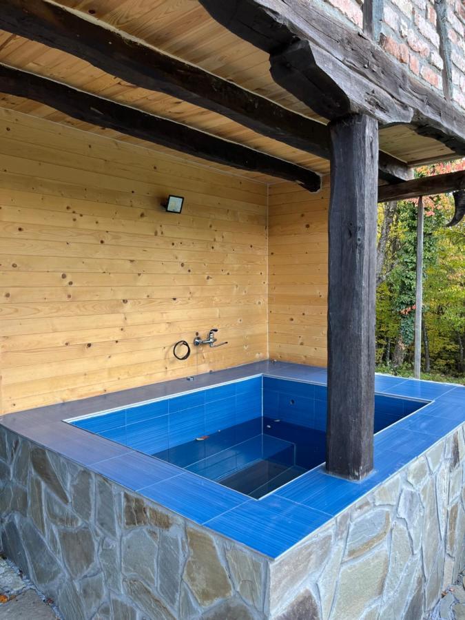 Balkan Mountains Villa Spa 埃伦娜 外观 照片